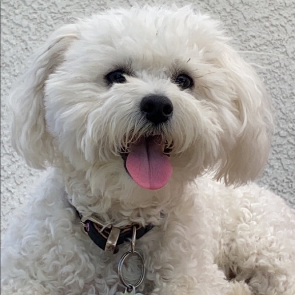 Meet your Posher, Vanessa - Picture 1 of 1